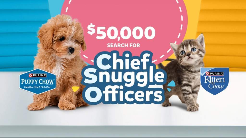 Kontes Purina Chief Snuggle Officer 2026 mencari anak anjing dan kucing menggemaskan