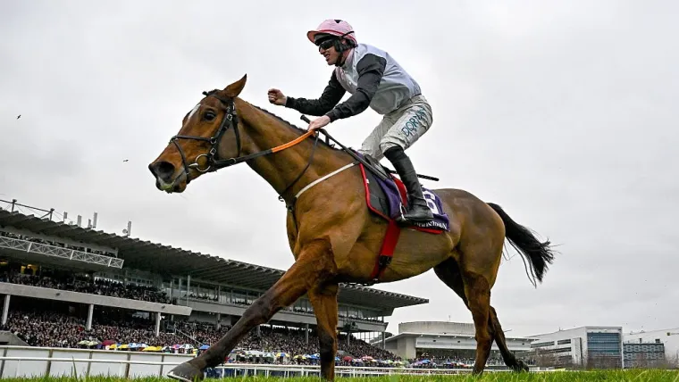 Prediksi Stayers Hurdle 2026: Teahupoo Favorit Rebut Gelar